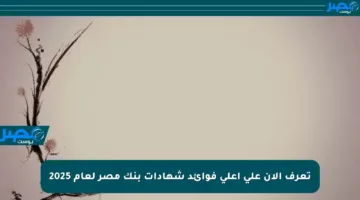 تعرف الآن على أعلى فوائد شهادات بنك مصر لعام 2025